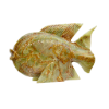 Picture of Royal Onyx Fish Sculpture – A Symbol of Flowing Elegance and Artistic Craftsmanship